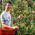 portfolio-obst-und-gemuese-pro-natura-brixen